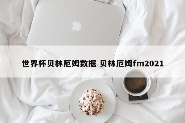 世界杯贝林厄姆数据 贝林厄姆fm2021
