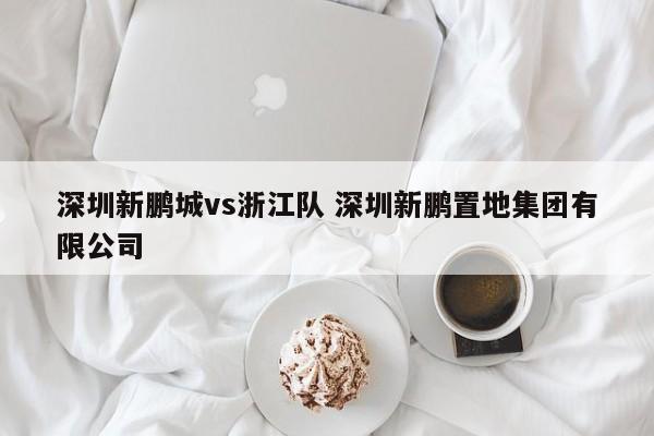深圳新鹏城vs浙江队 深圳新鹏置地集团有限公司