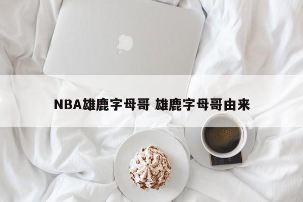 NBA雄鹿字母哥 雄鹿字母哥由来