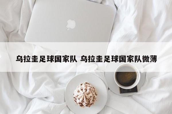 乌拉圭足球国家队 乌拉圭足球国家队微薄