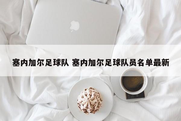 塞内加尔足球队 塞内加尔足球队员名单最新